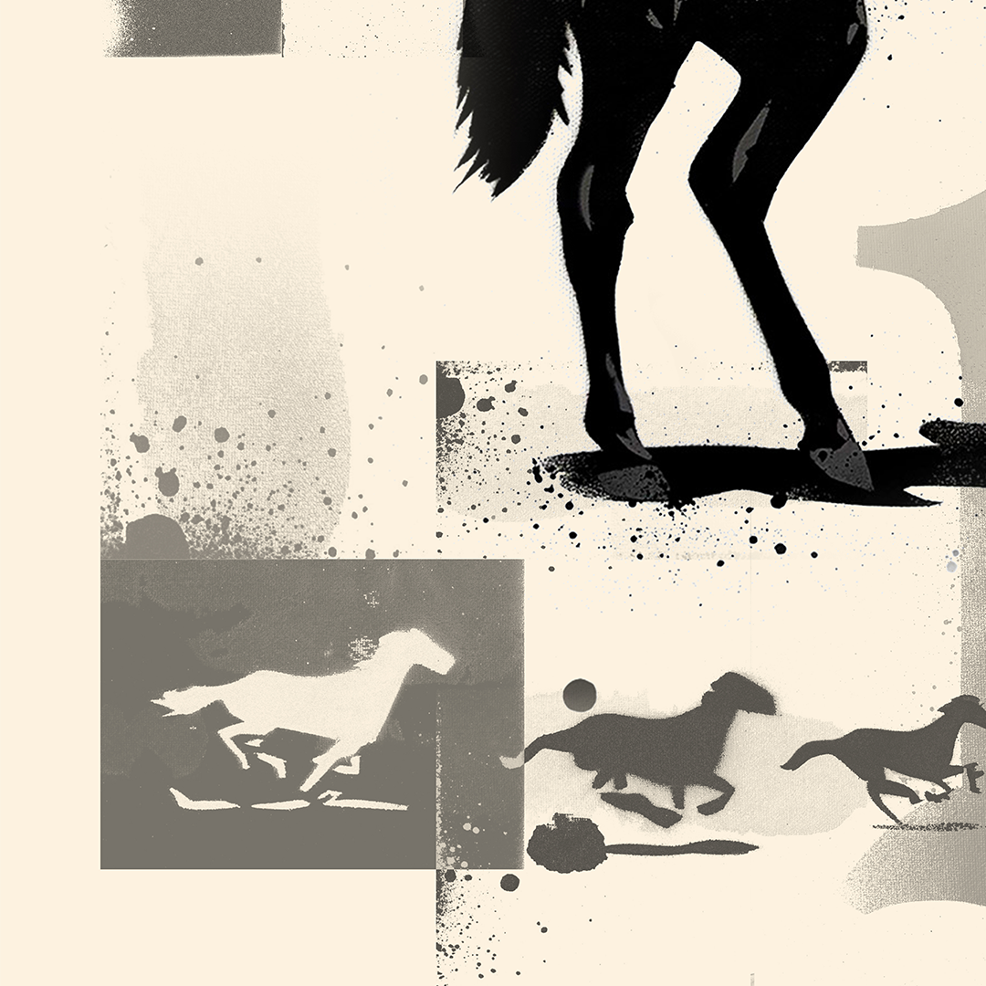 Fine Art Print "FOALS"